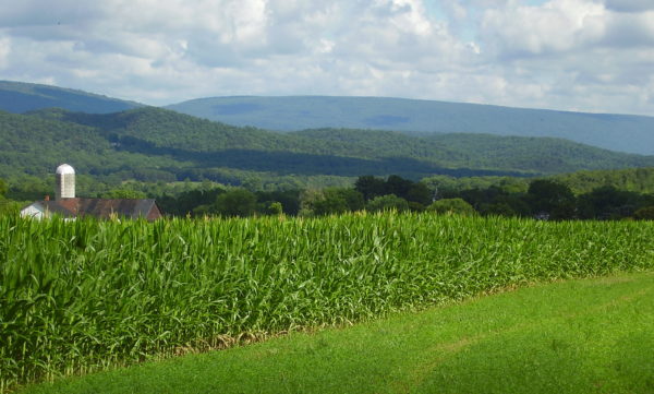 Press Release: Pennsylvania Township Bans Corporate Industrial Farming
