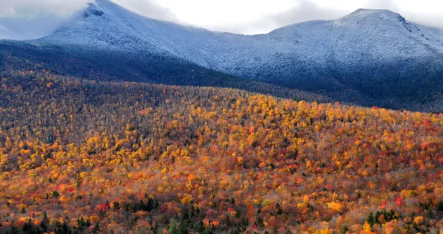New Hampshire Community Rights Network