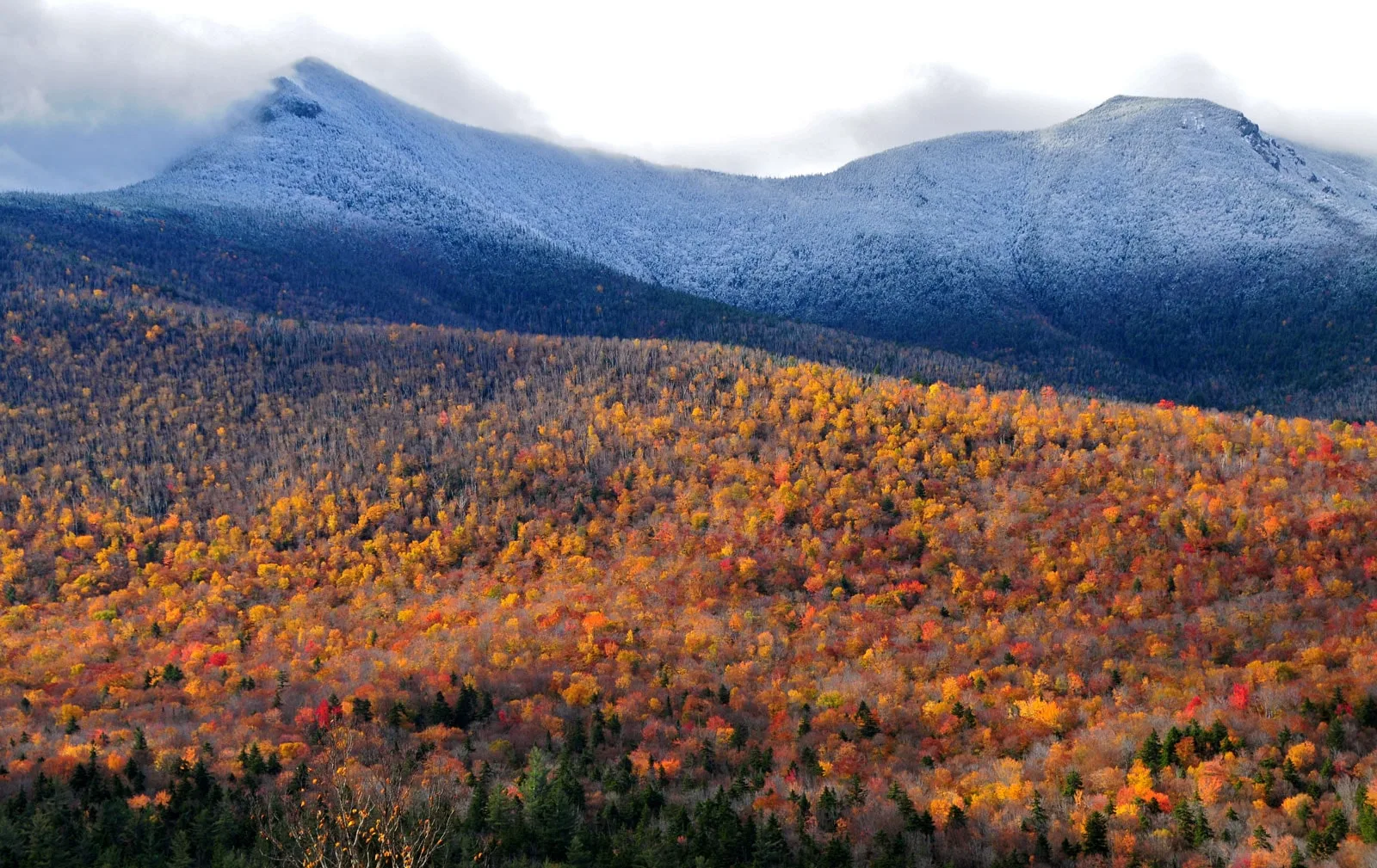 New Hampshire Community Rights Network