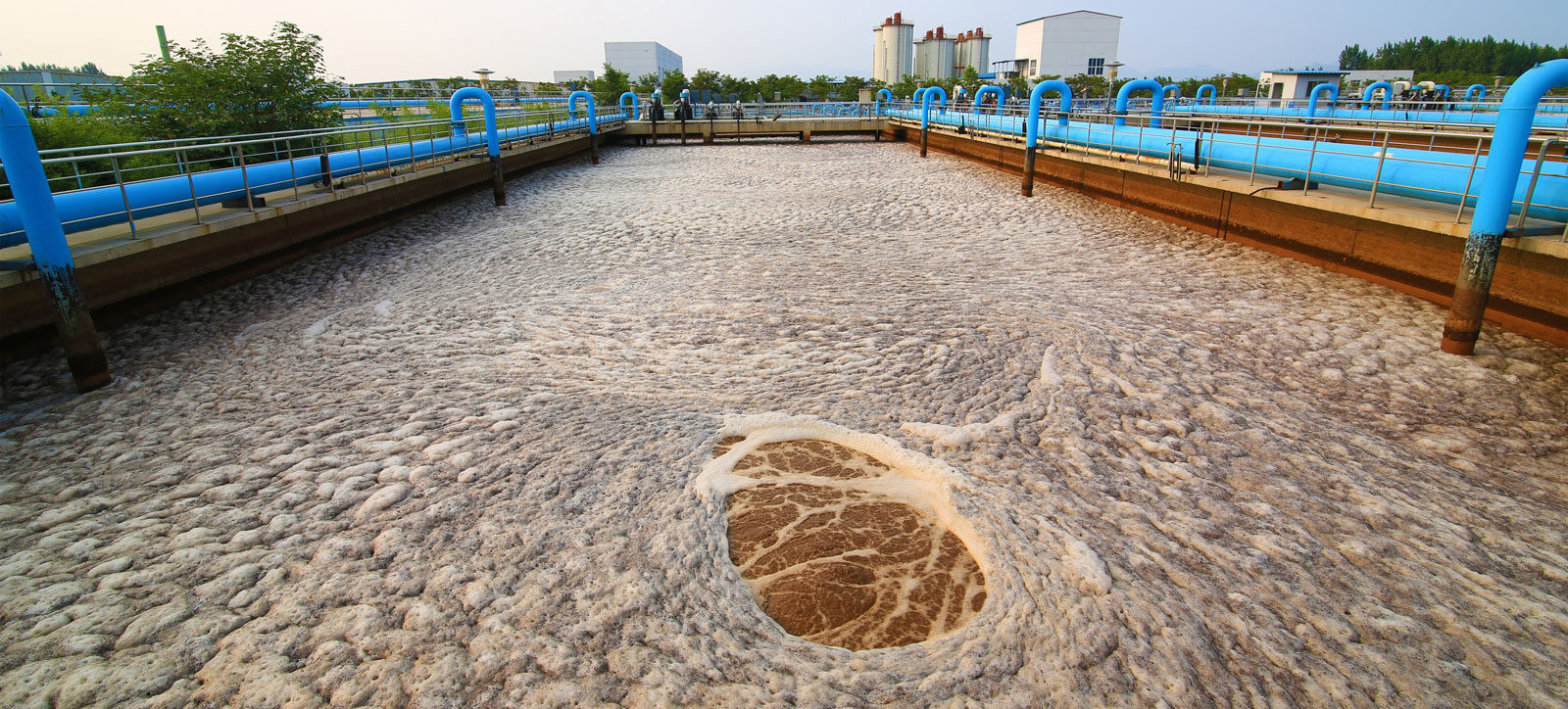 What Is Domestic Wastewater Sludge