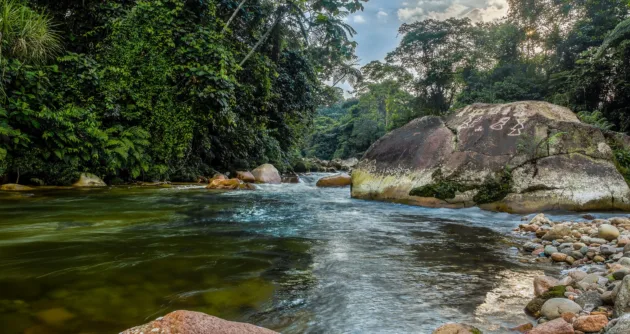 Ecuador Rights of Nature