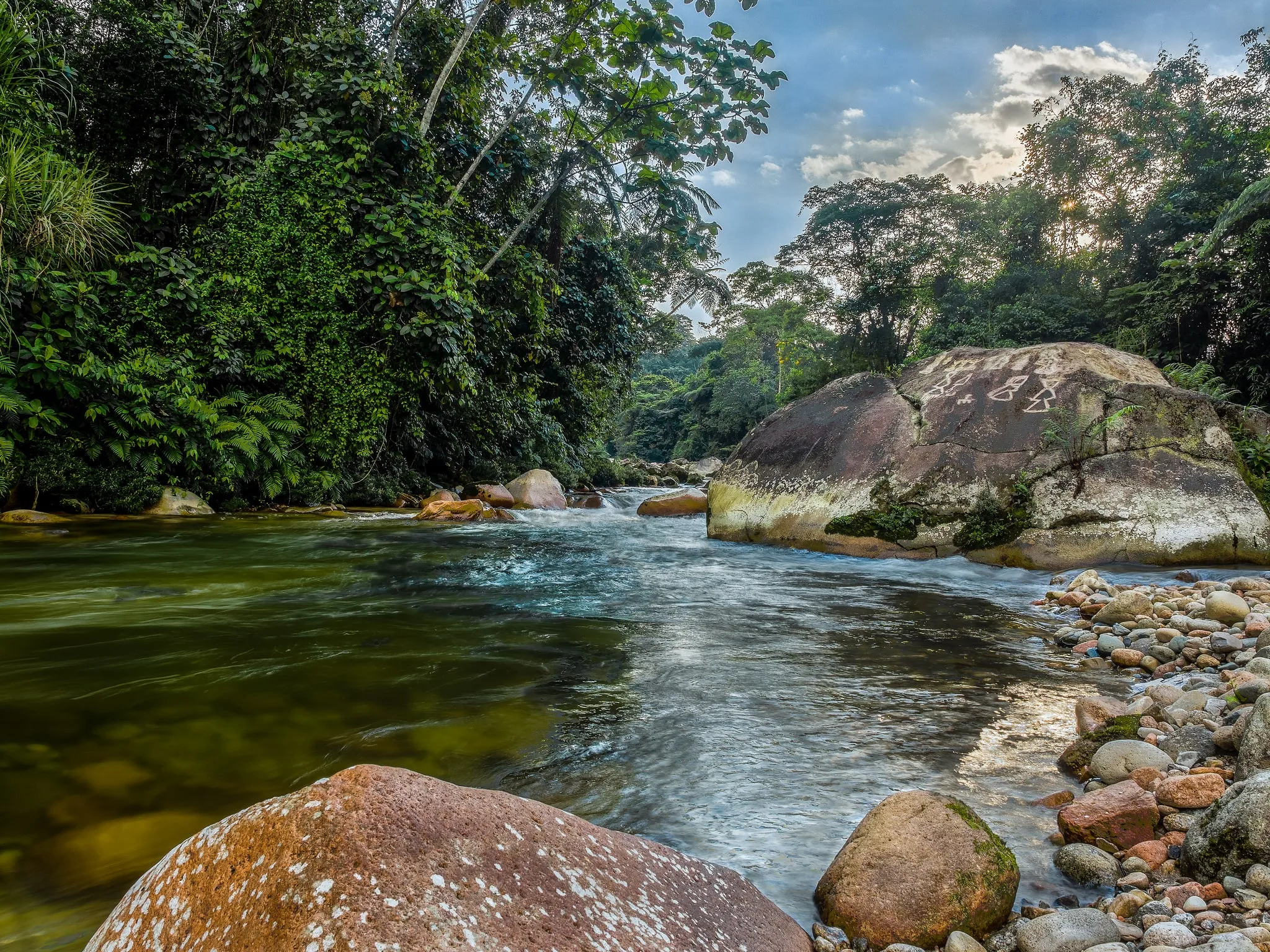 The New York Times: Ecuador Constitution Grants Rights to Nature