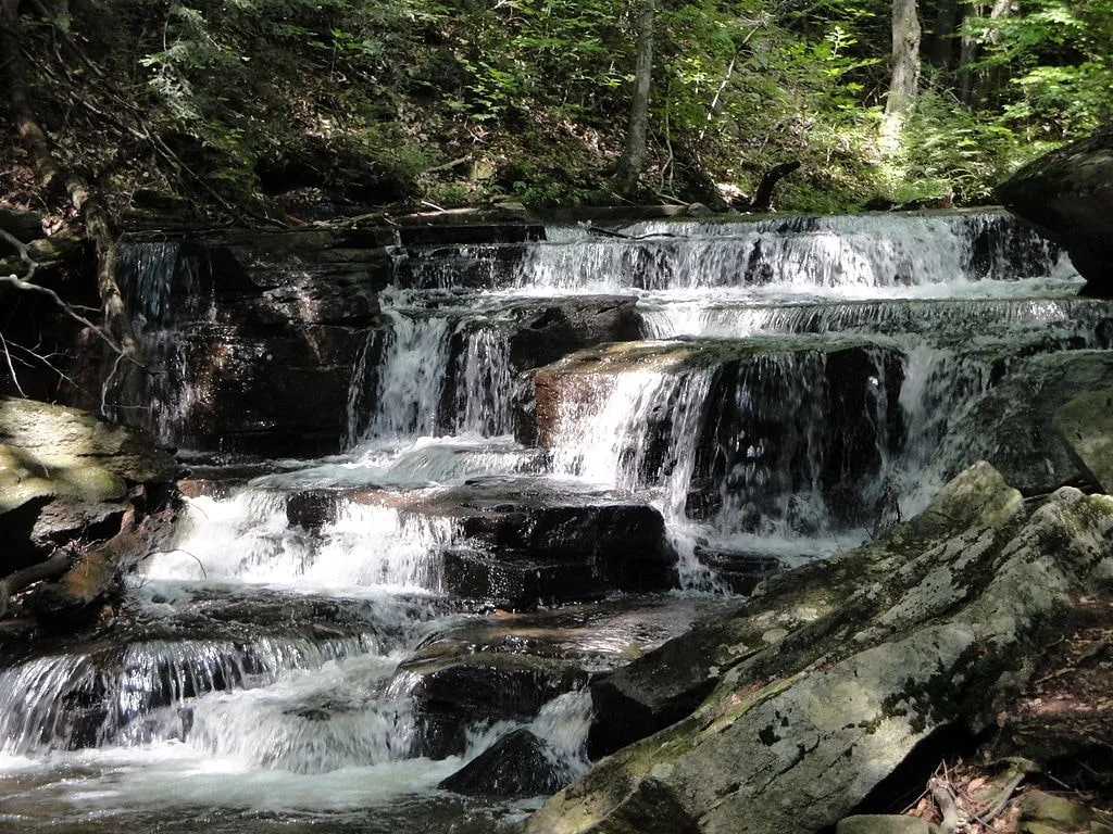 Crystal Spring Ecosystem