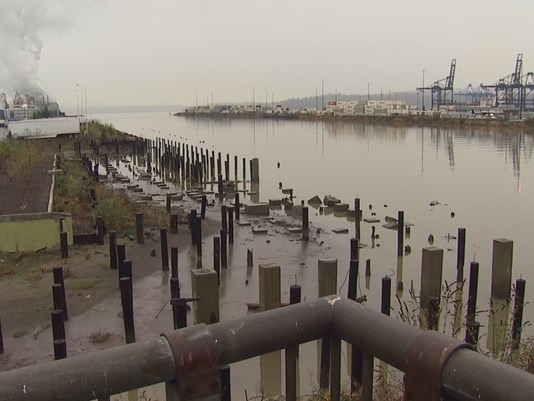 King5 News: Tacoma Tideflats initiative heads to appeals court