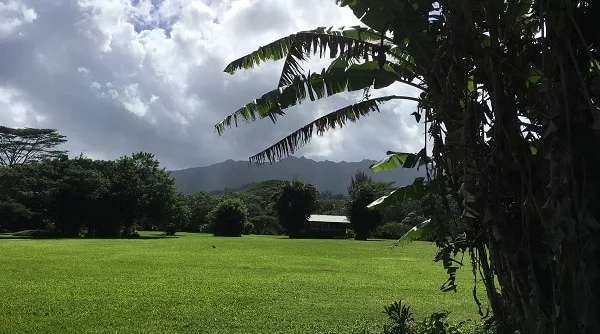 Rights of Nature easement in Hawaii