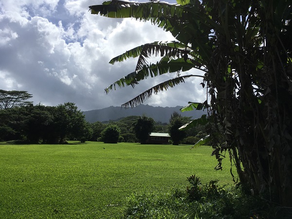 Rights of Nature easement in Hawaii