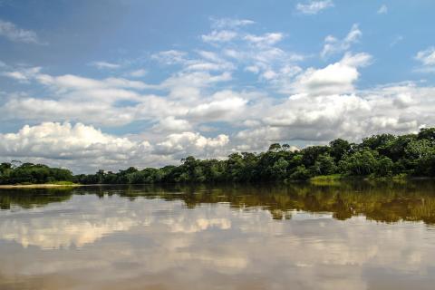 The Amazon Conservation Team: Breaking News: The Colombian Amazon Has the Same Rights as a Person