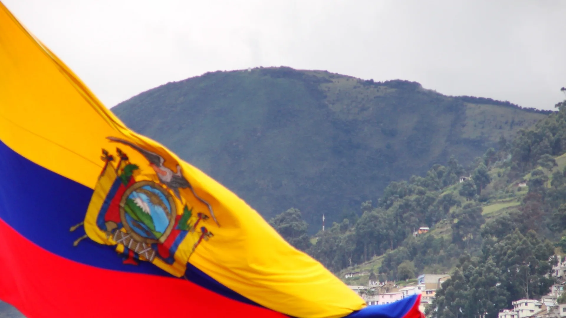 10th anniversary Rights of nature Ecuador constitution