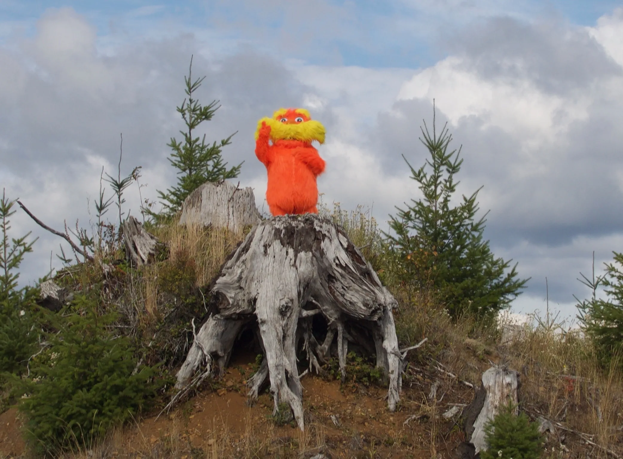 How Do We Speak for the Trees When Our Human Right to Free Speech is Cut Down? 