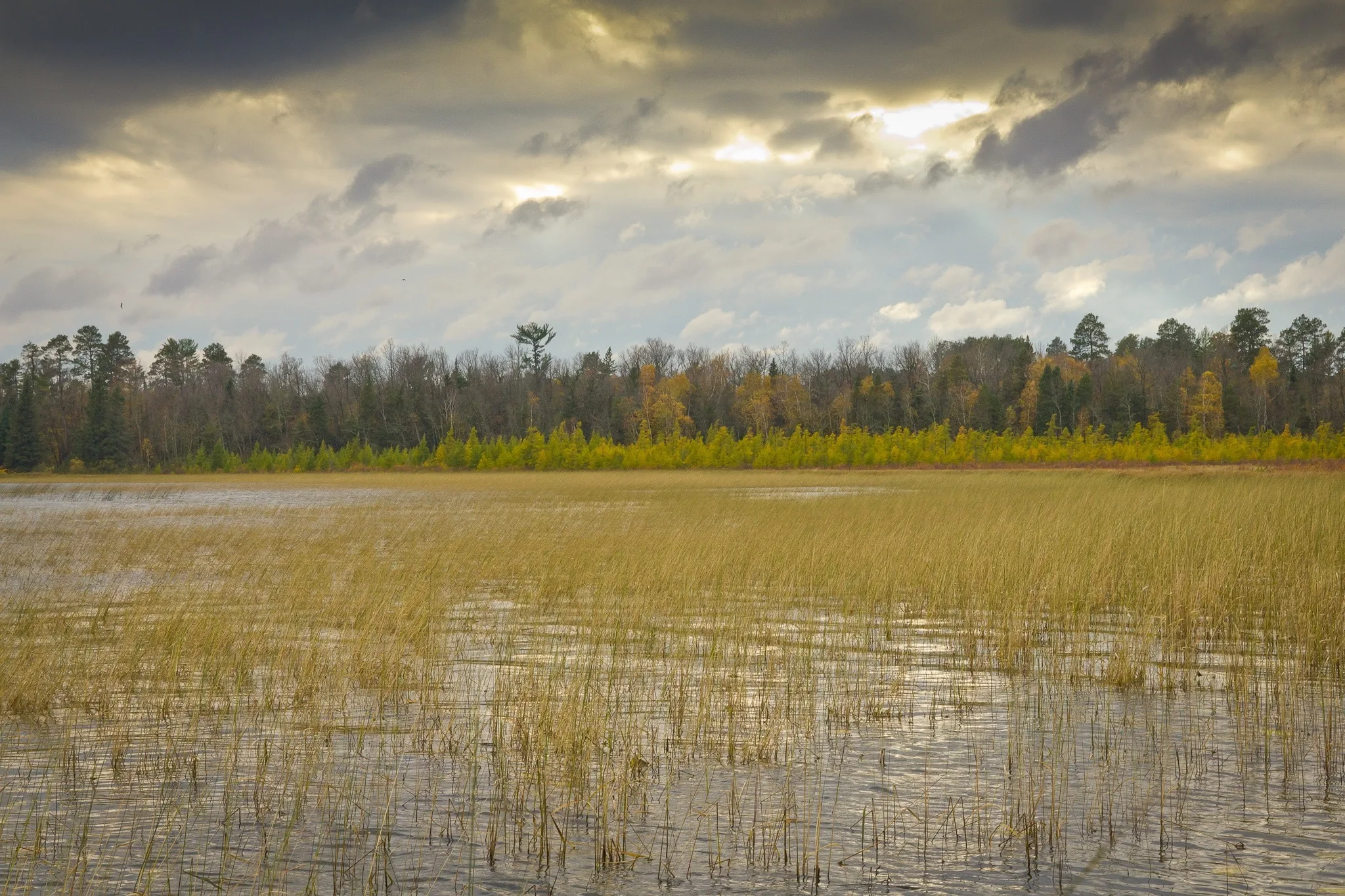 Press Release: White Earth Band Enacts First-of-its-Kind Rights of Nature Law