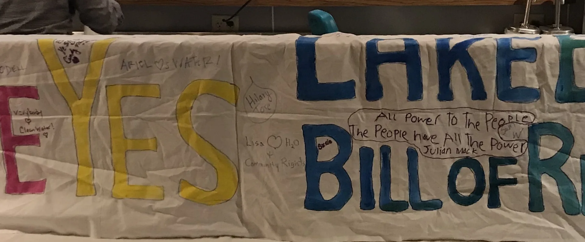 Vote for the Rights of Lake Eerie