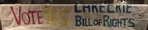 Vote for the Rights of Lake Eerie