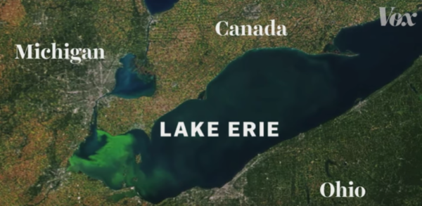 Press Release: Major Developments for Lake Erie Bill of Rights