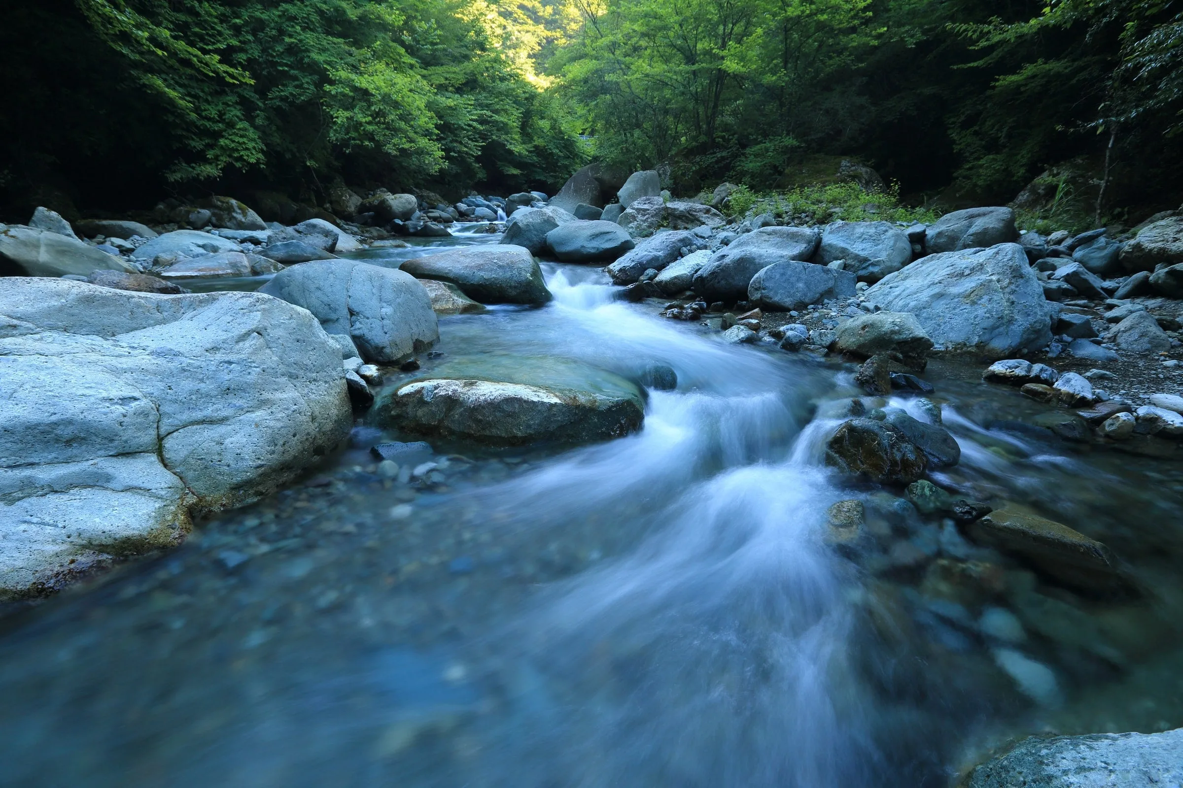 Democratic Party Must Not Water Down Rights of Nature
