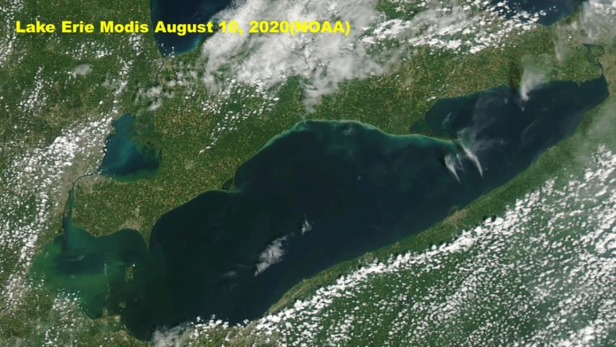 Press Release: Toledo Residents Experiment With Civilian Rights of Nature Enforcement