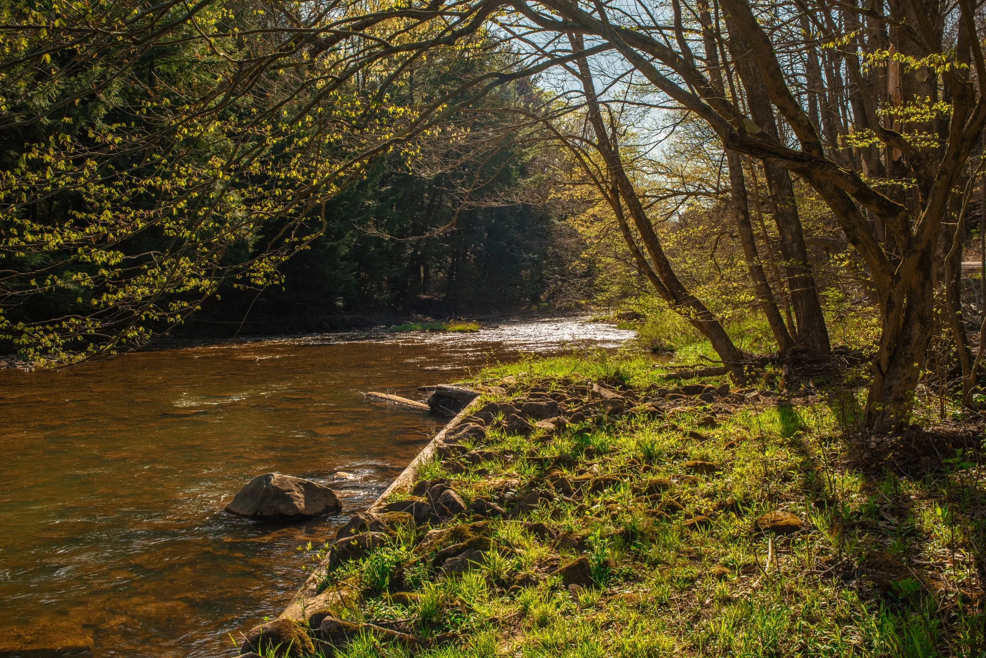 BREAKING: Gas Company Files Federal Lawsuit To Overturn Small Pennsylvania Township’s Rights of Nature Law…Again