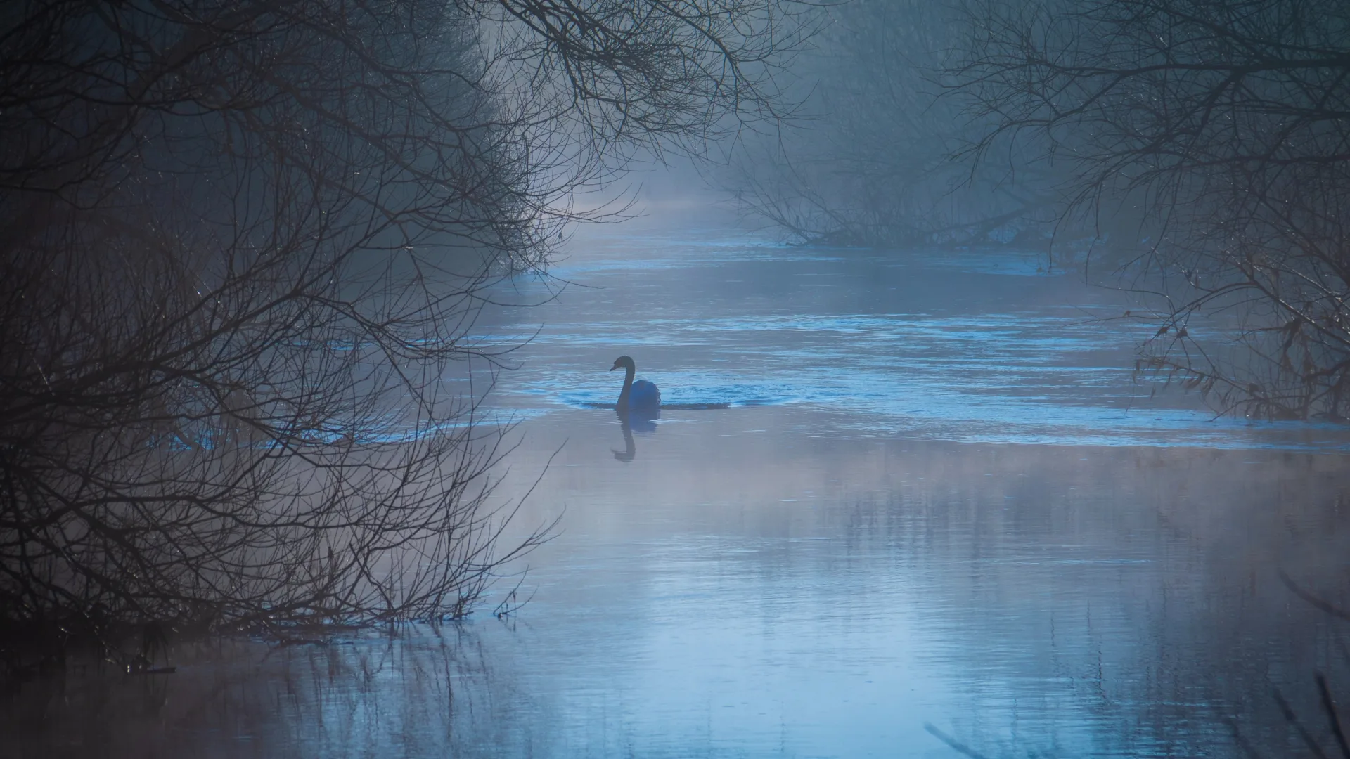 CELDF Endorses Proposal for Universal Declaration of the Rights of Wetlands