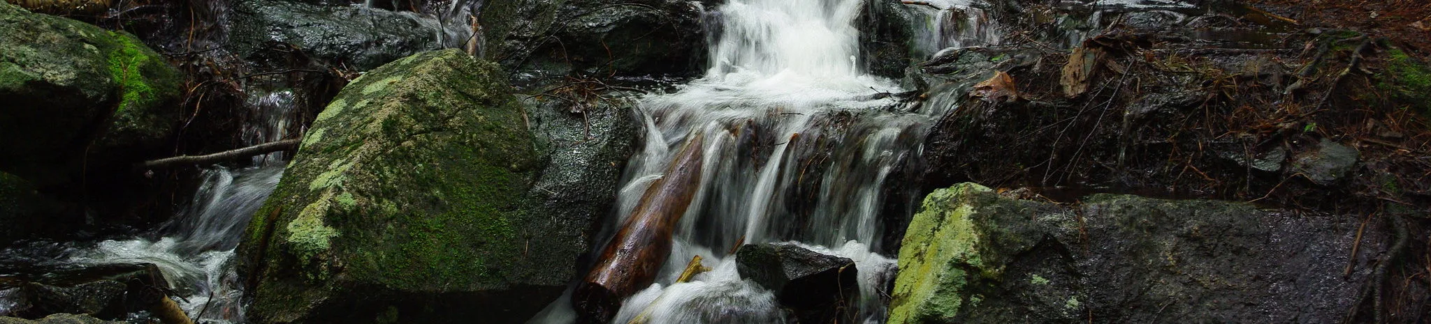 Financial Threats to Rights of Nature Lawmaking