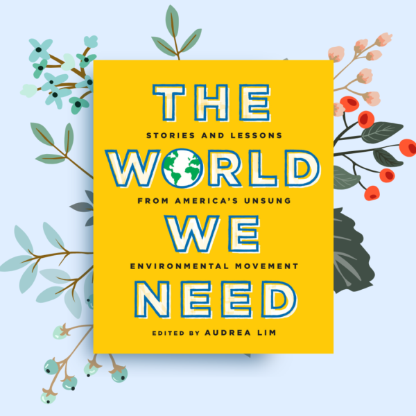 New Book! ‘The World We Need: Highlights, Stories and Lessons From America’s Unsung Environmental Movement’