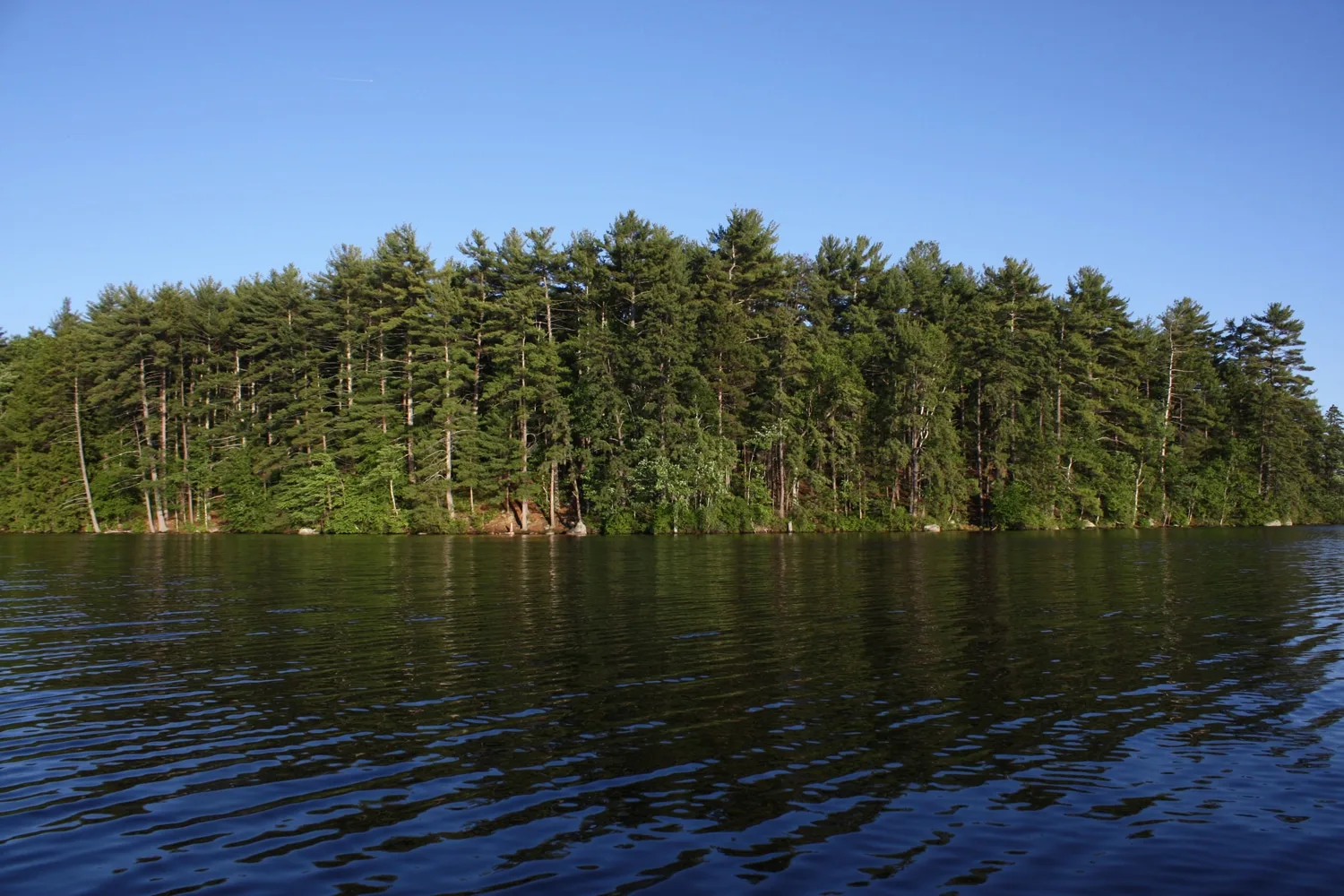 Guest Blog: Energy Democracy: Community Rights in New Hampshire