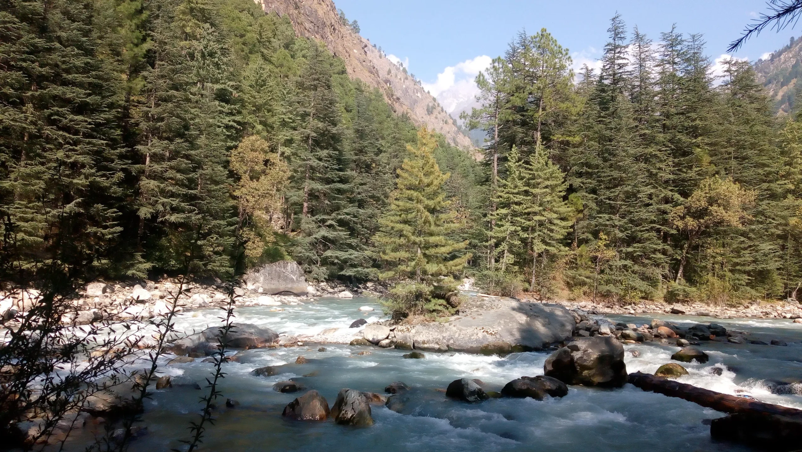 Rights of Nature Principles
