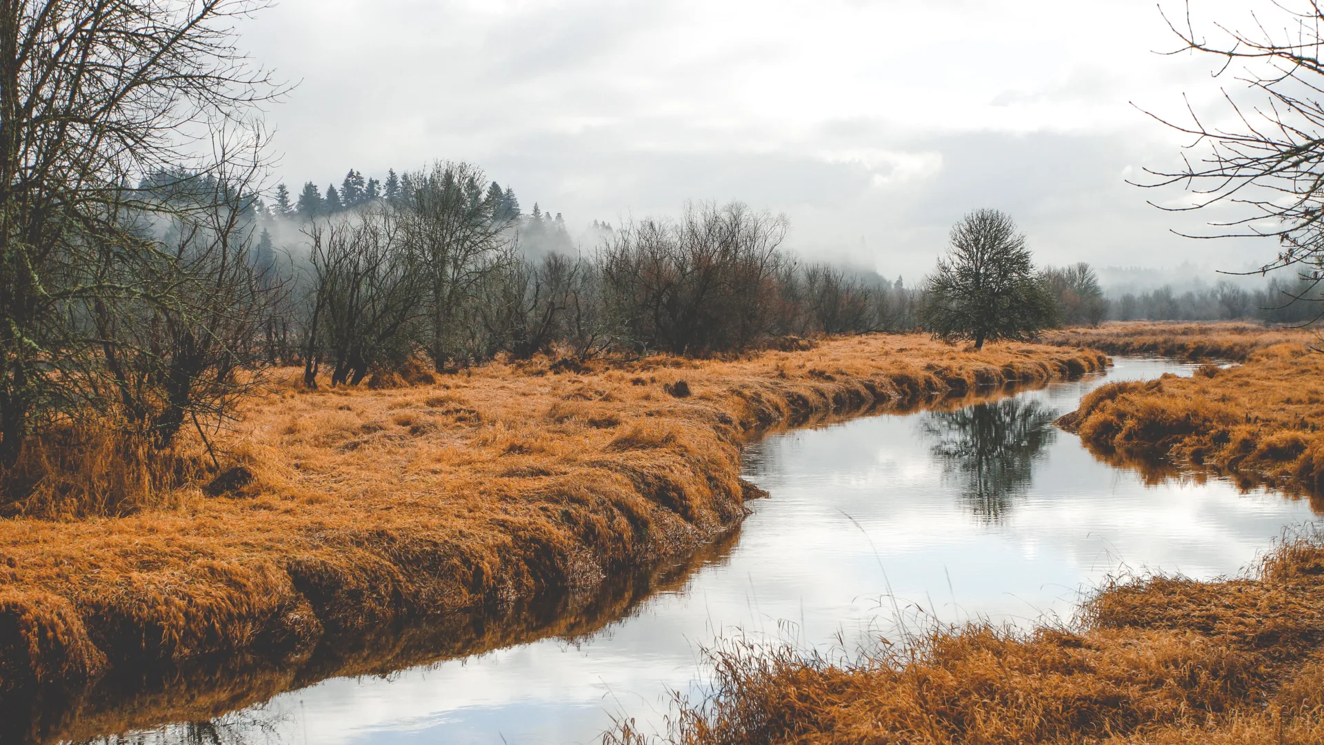 Cloudy day, grey clouds, winding river through dead grass and small trees and bushes
