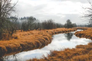 Cloudy day, grey clouds, winding river through dead grass and small trees and bushes