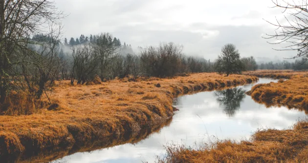 Cloudy day, grey clouds, winding river through dead grass and small trees and bushes
