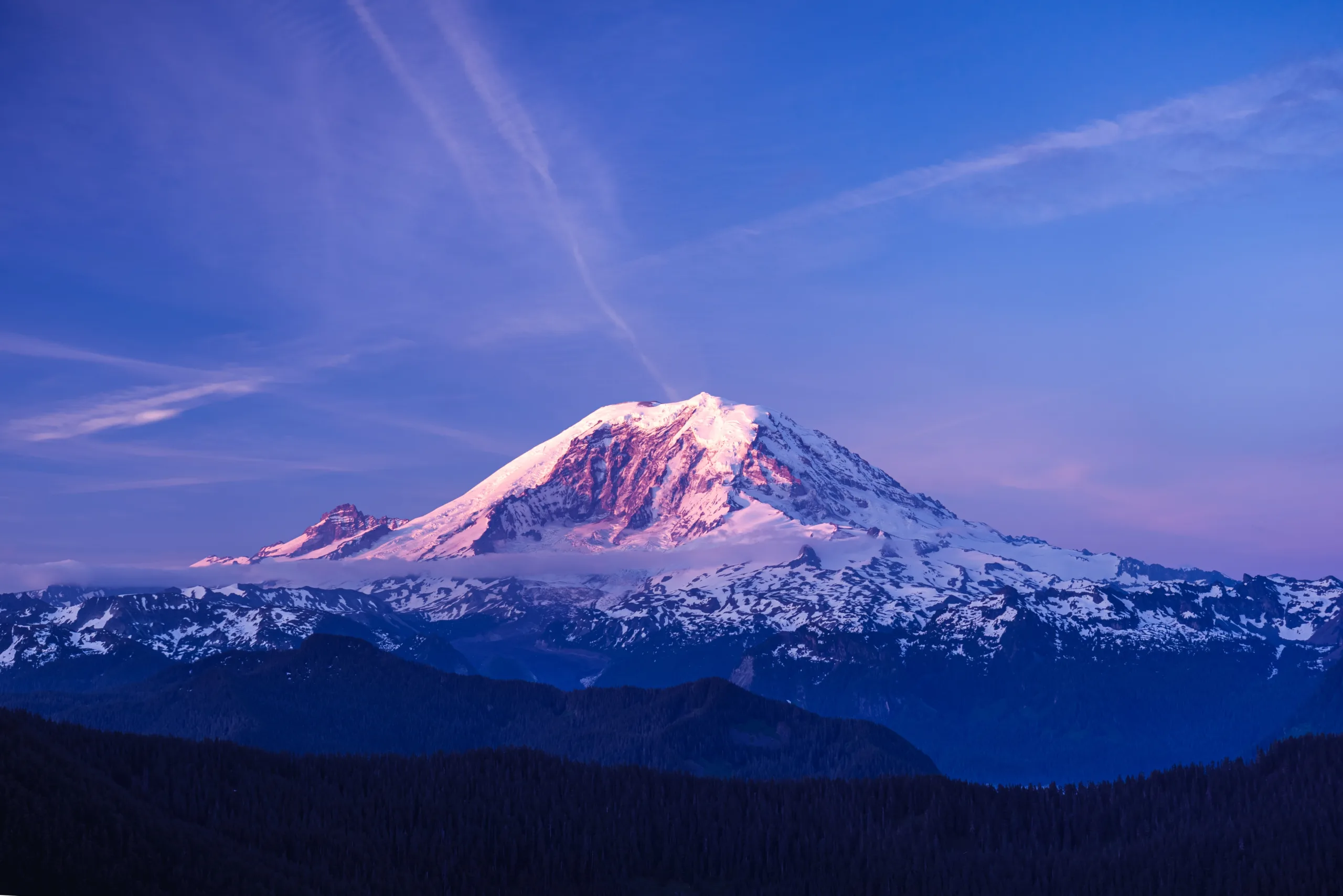 Newsletter: Washington Update