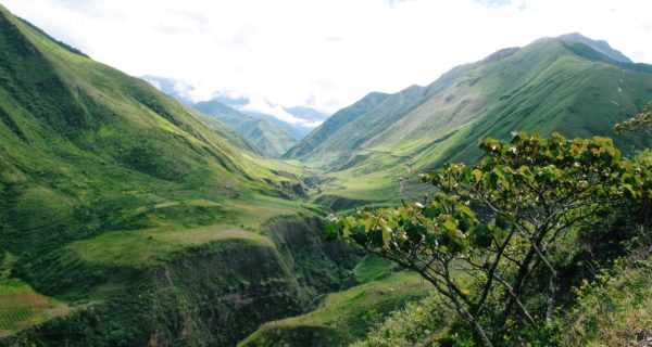 Historic Rights of Nature Victory in Ecuador