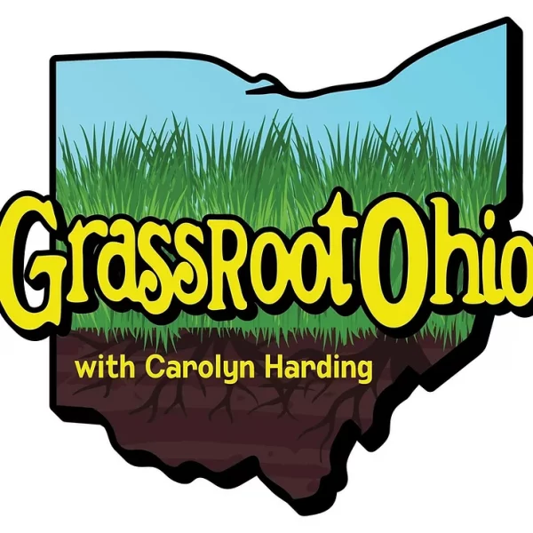 Podcast with GrassRoot Ohio: Death by Democracy- Episode 2 – w/ Tish O’Dell