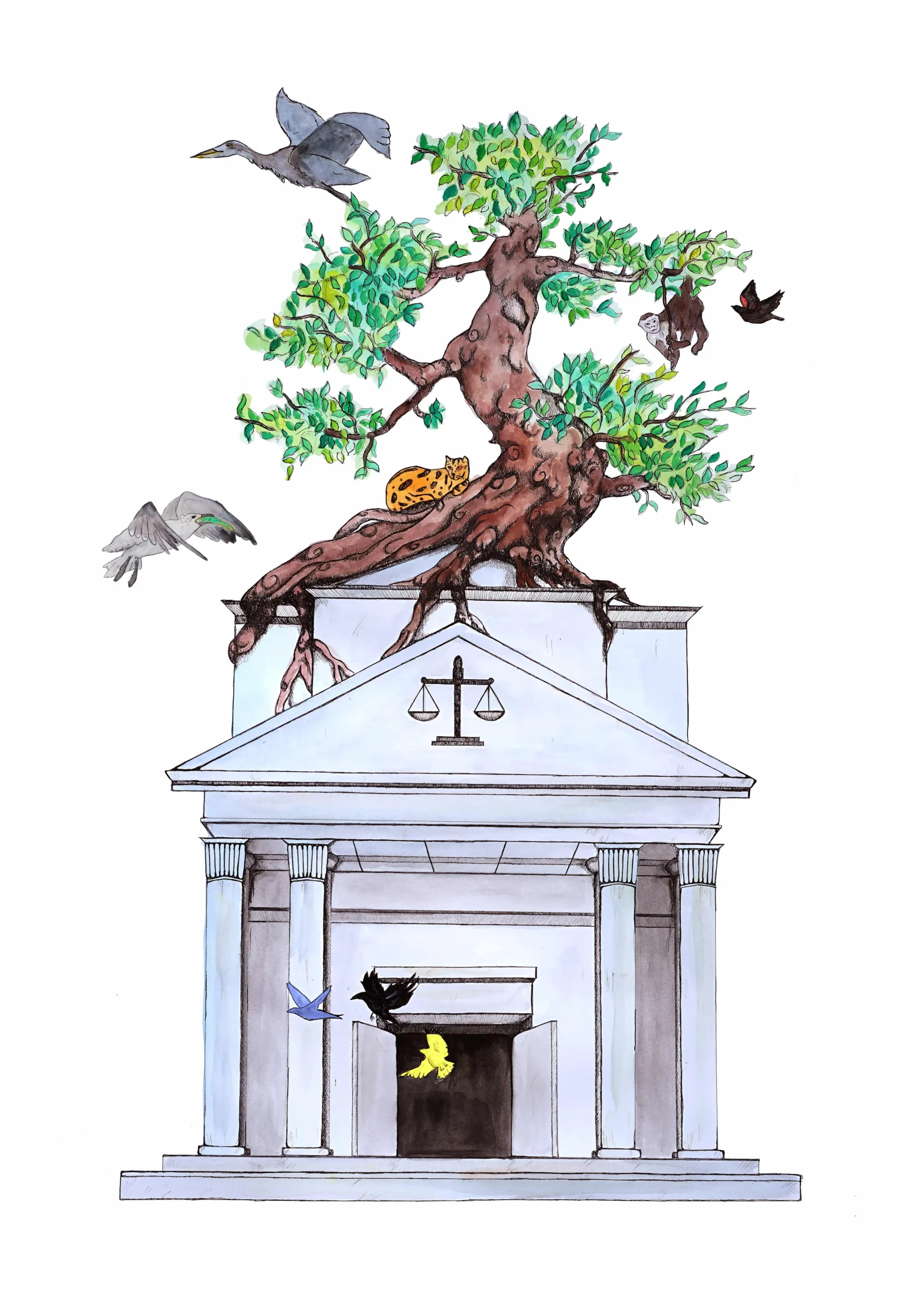 CELDF’s Proposed Rights of Nature Principles