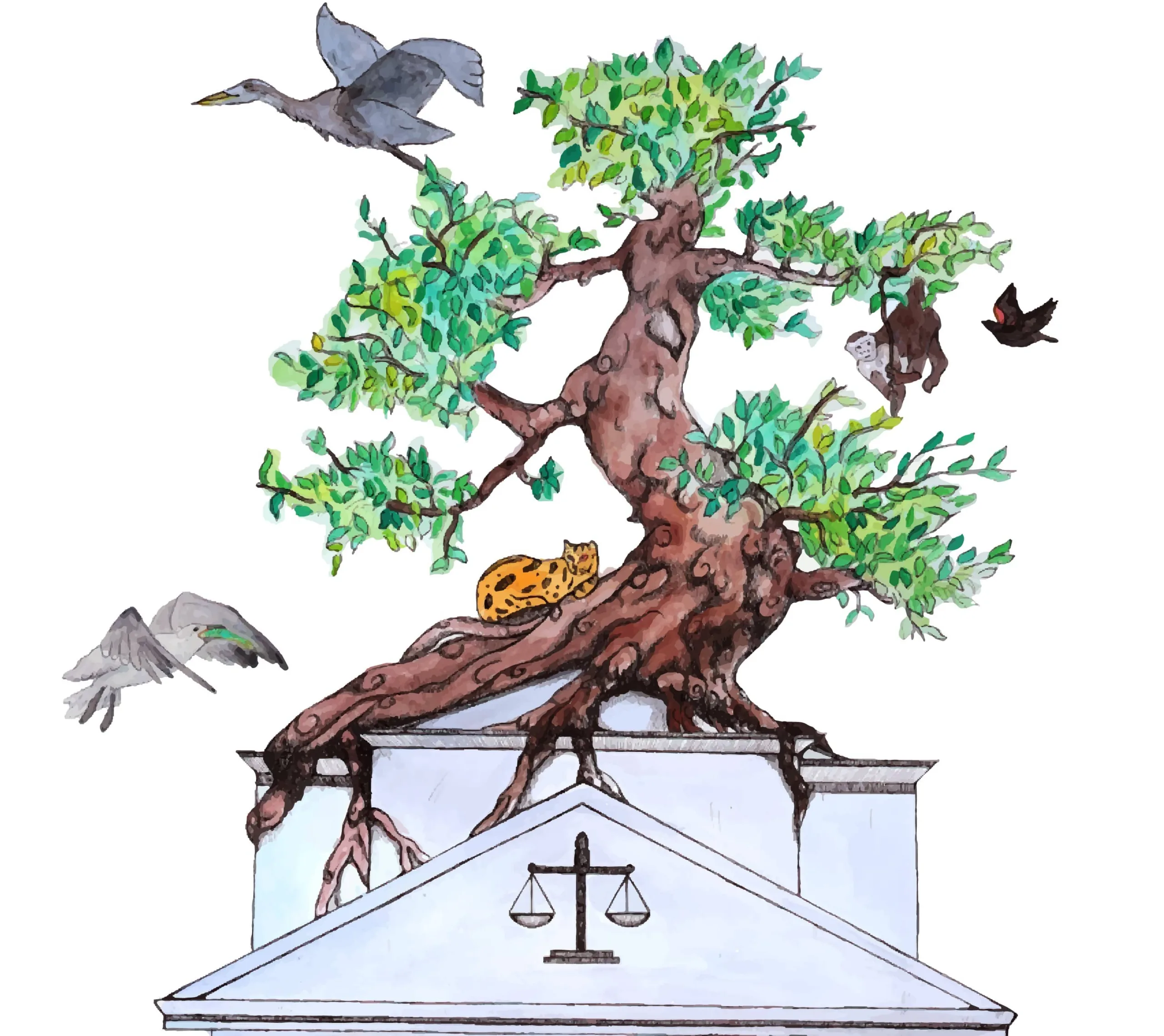 Unveiling Rights of Nature Artwork and Logo