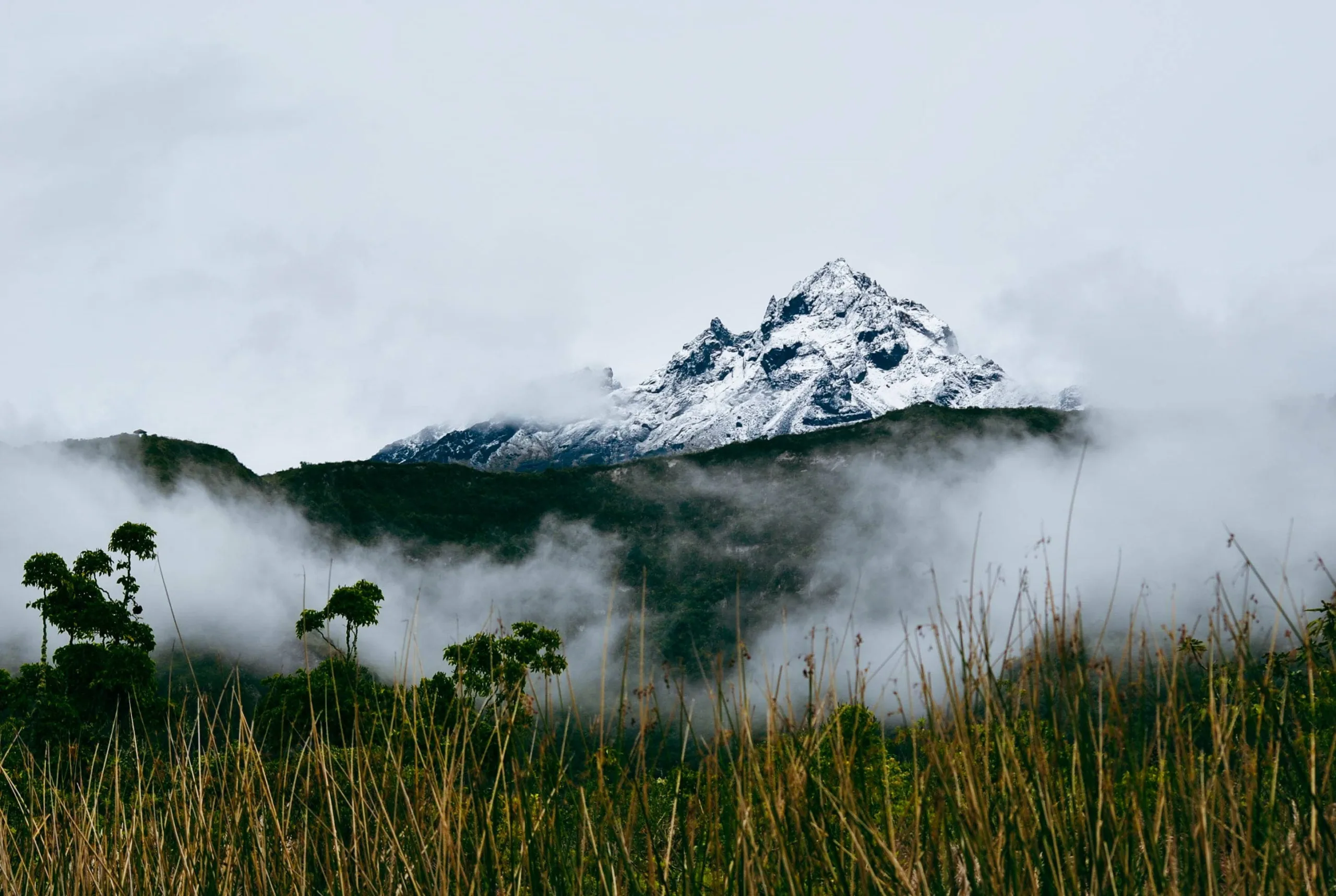 Happy Anniversary Rights of Pachamama Ecuador!