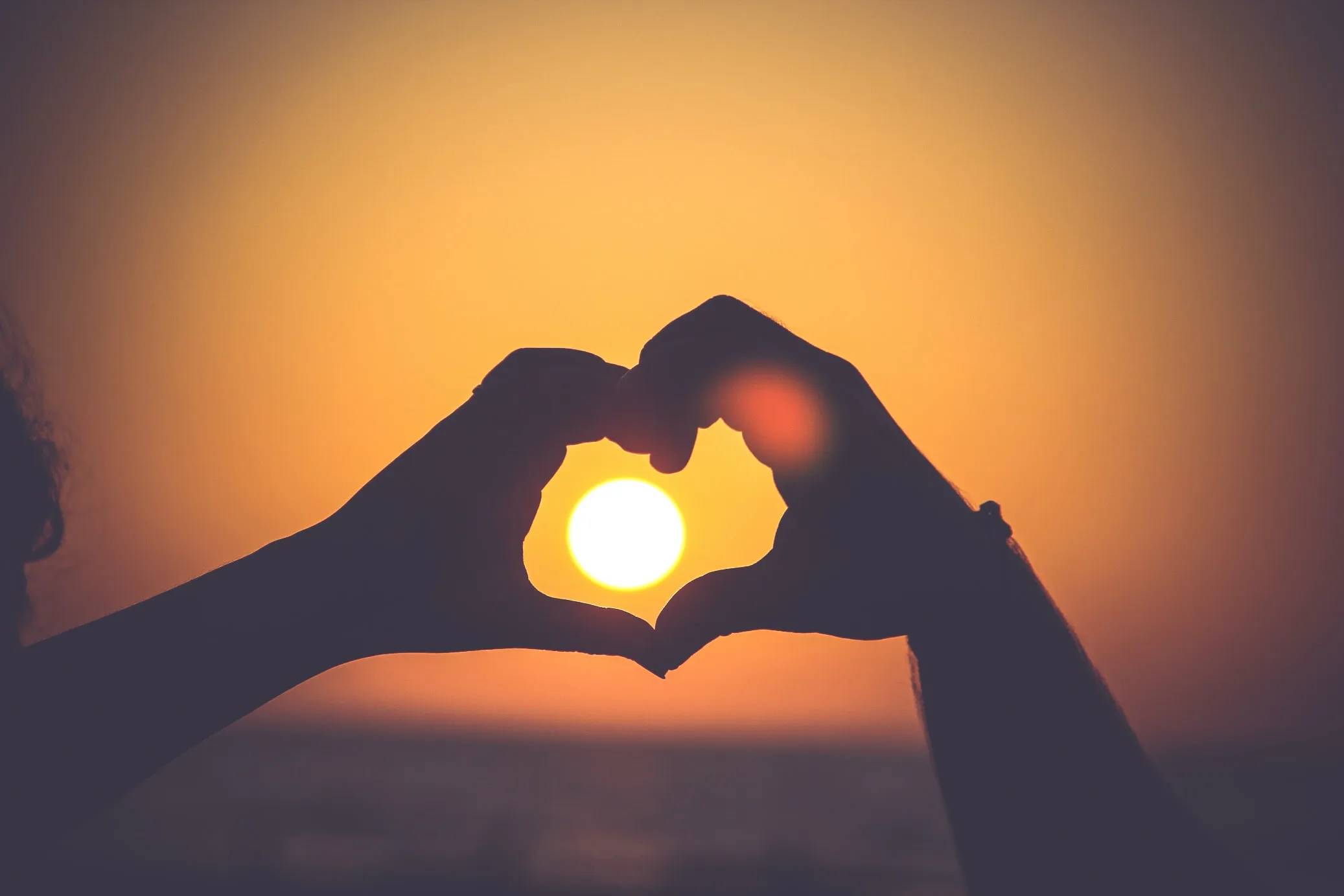 Wouldn’t You Say? – From Rights of Nature to Right Relationship