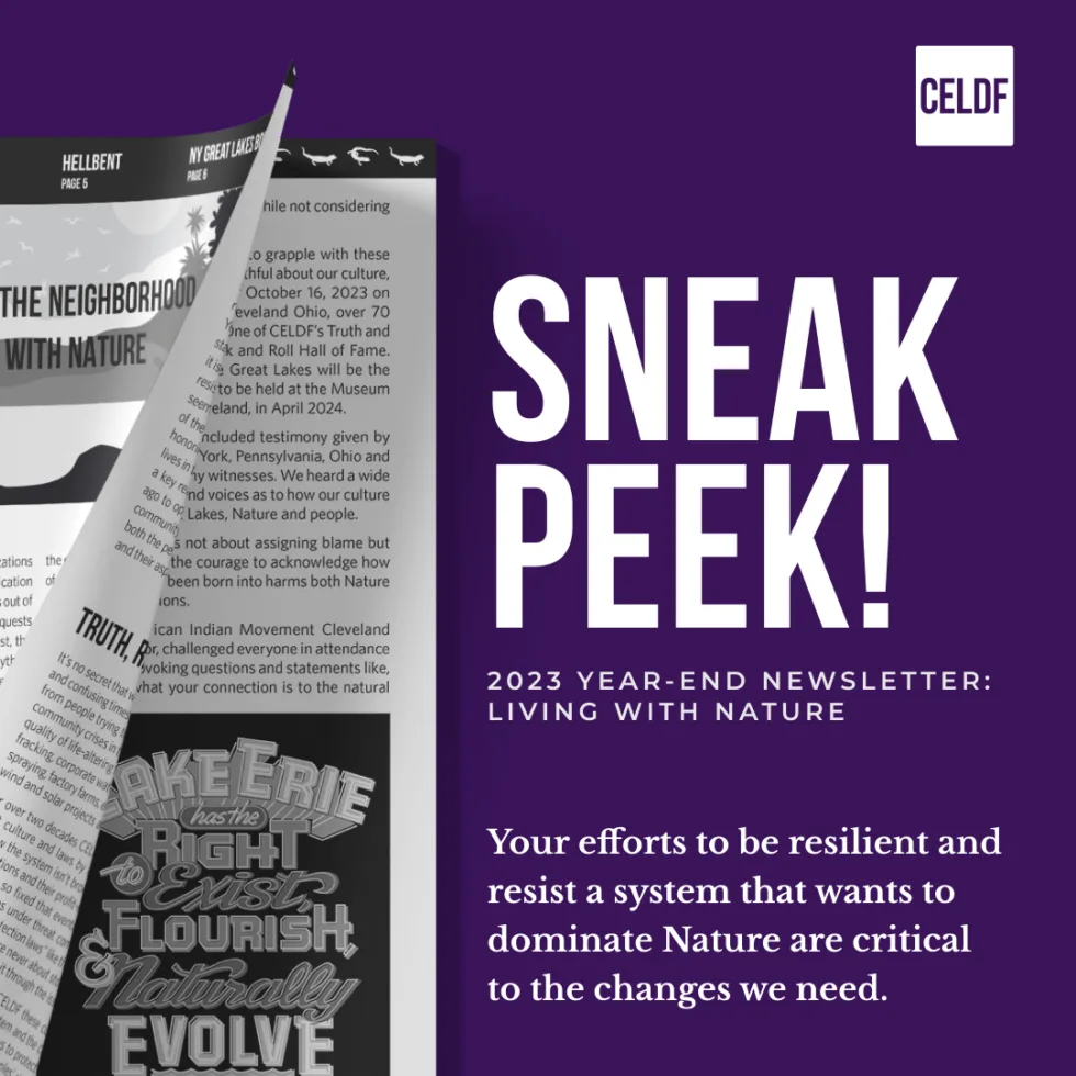 Sneak Peek! — 2023 Year-end Newsletter: Living with Nature
