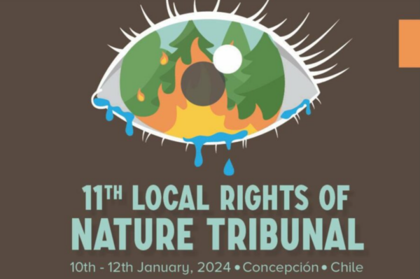 International Rights of Nature Tribunal rules impacts caused by current forestry model as ecocide