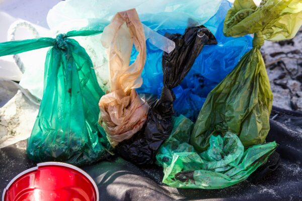 Amicus Brief in support of Athens Plastic Bag Ban