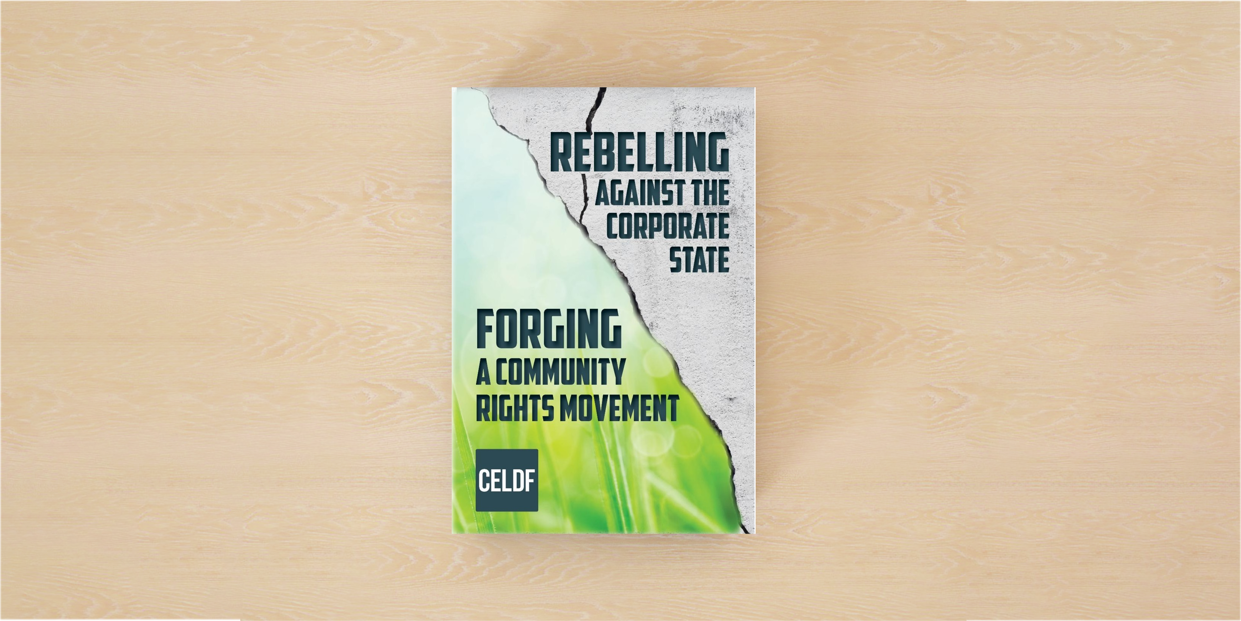 Image of book cover: Rebelling Against the Corporate State