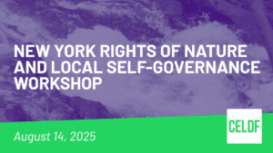 Thumbnail image for NY Rights of Nature & Local Self-Governance Workshop on August 14, 2025