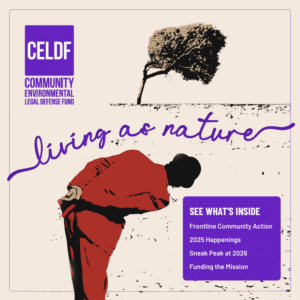 Cover image for CELDF's 2025 Year-end Newsletter