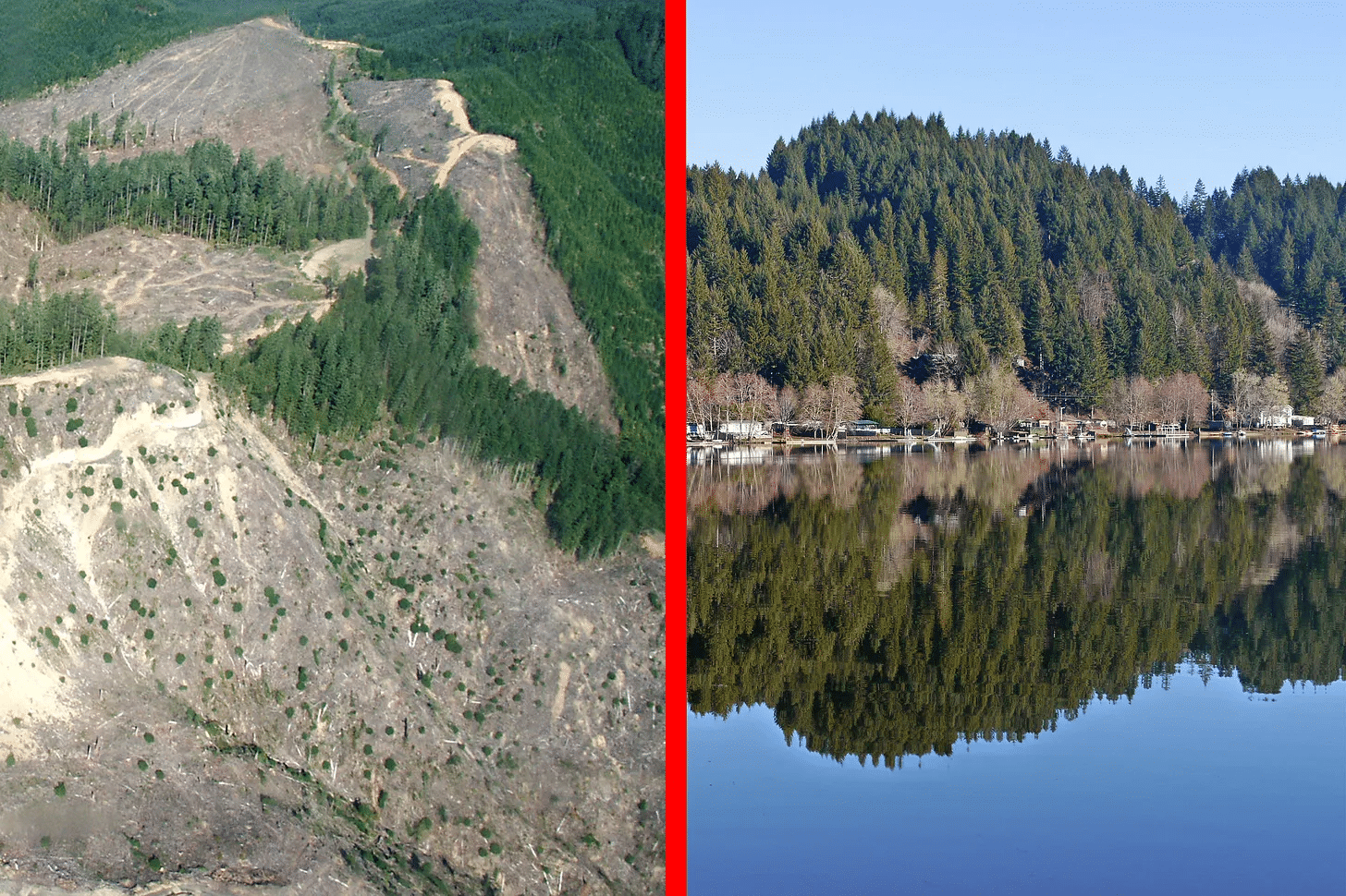 Press Release: “Water is Life” — Lane County, Oregon Seeks Watershed Rights